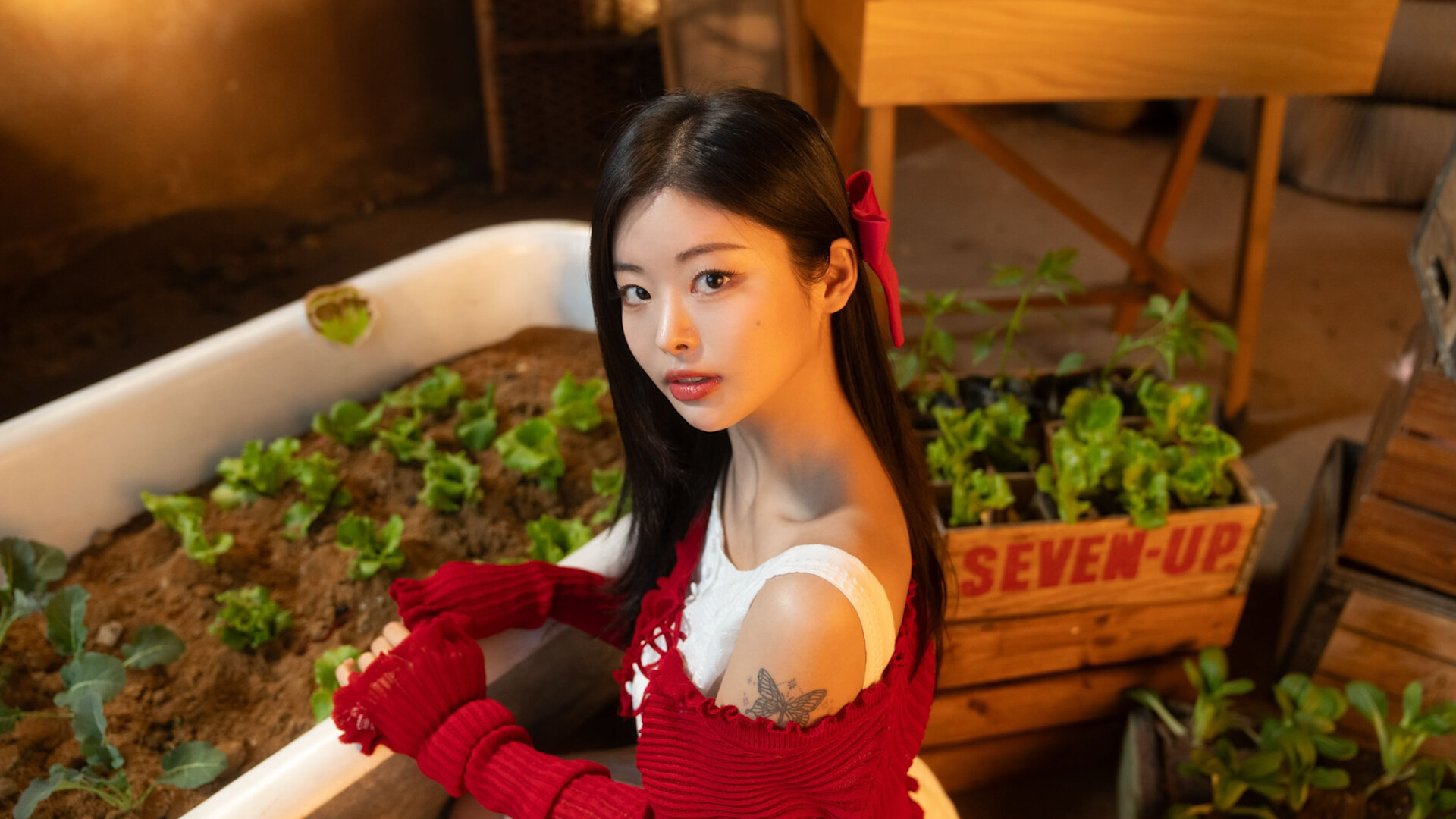 末日降临！被美女们关进避难所!?