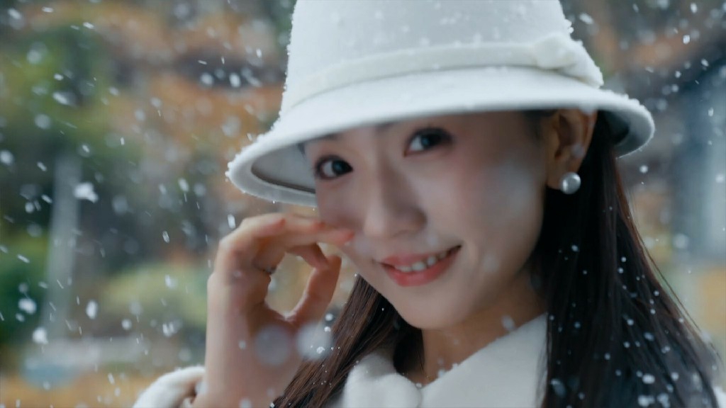 雪落情书时