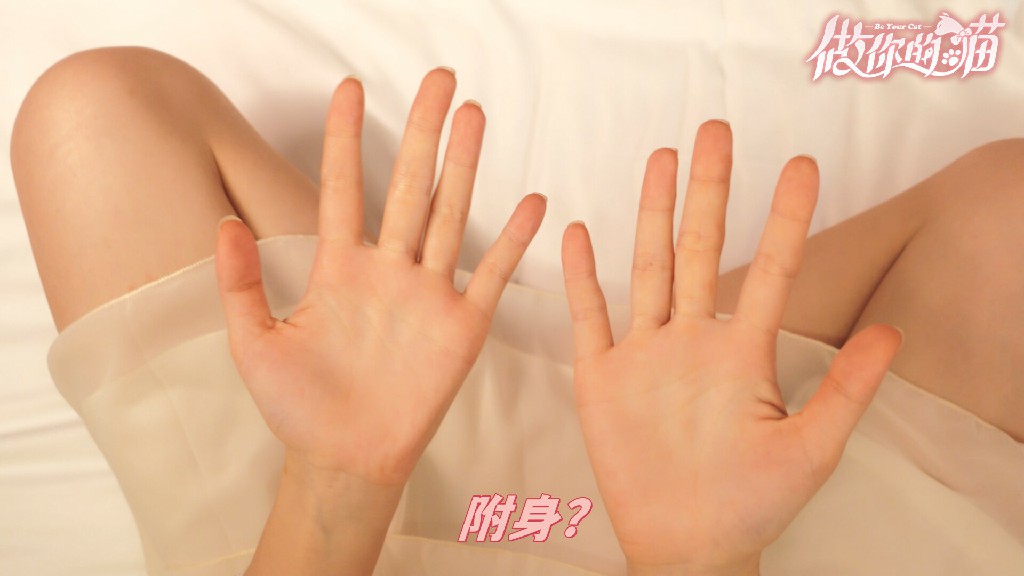 做你的猫